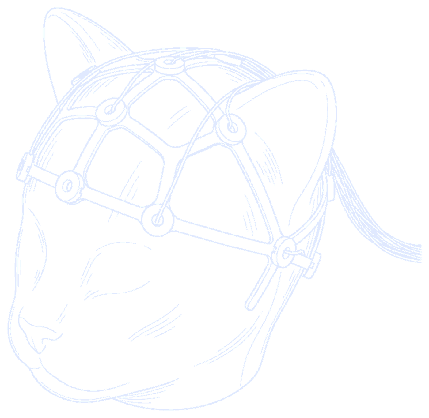 Patent drawing: a cat head wearing the open lattice of silicone link pieces, with electrode holders at the joints and the leads running back in a bundle